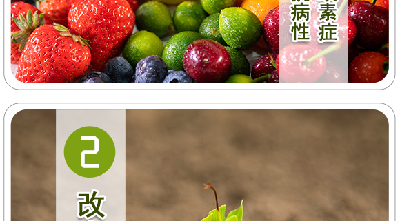 生物有機(jī)中量元素肥-好施特_06