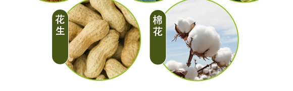 生物有機(jī)中量元素肥-好施特_11
