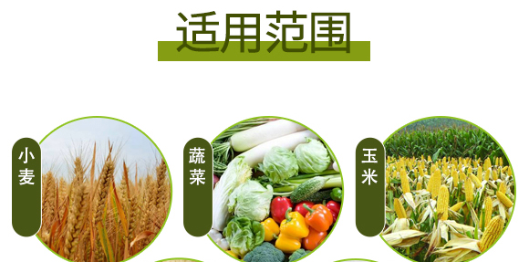生物有機(jī)中量元素肥-好施特_10