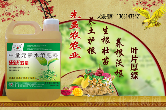 小麥價格多少錢一斤?今日小麥價格行情!