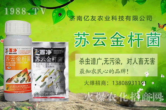 黃桃種植應該注意哪些事項?黃桃種植時間及田間管理!
