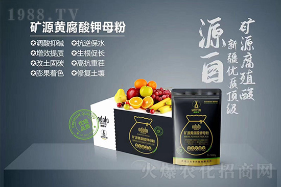 什么是蔬菜冷害?如何提高作物抗凍能力?