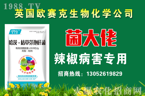 小麥生長需要澆幾次水?小麥澆水有哪些注意事項(xiàng)?