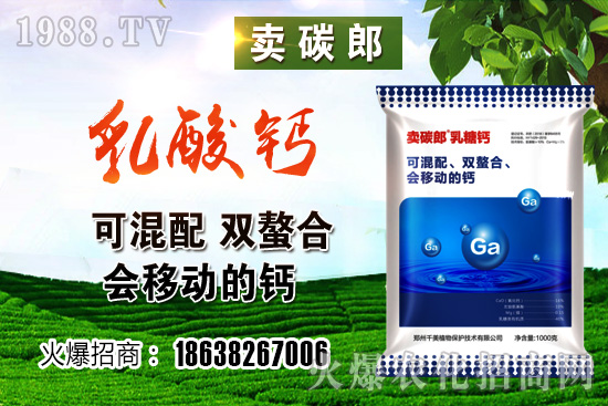 政策阻力較大,小麥價格整體高位趨穩(wěn)!