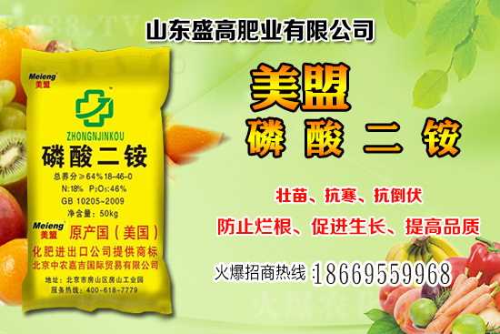 近期小麥價(jià)格還會繼續(xù)上漲嗎?12月小麥價(jià)格行情分析