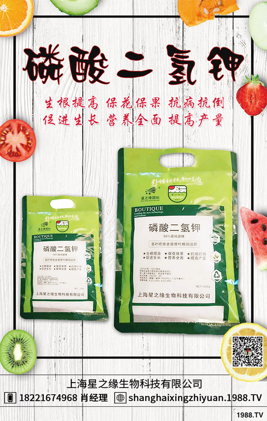 當(dāng)下正是春耕春種的關(guān)鍵時(shí)期,馬鈴薯種植也提上了日程,很多農(nóng)戶都忙了起來(lái)。但是很多農(nóng)戶都對(duì)馬鈴薯高產(chǎn)沒(méi)有信心,因?yàn)橥暧行┺r(nóng)戶種植馬鈴薯只長(zhǎng)秧不結(jié)薯看起來(lái)馬鈴薯枝蔓很旺盛,以為是個(gè)豐收年,可是等到收獲時(shí)幾乎沒(méi)有結(jié)薯,這到底是什么原因呢?該如何解決?