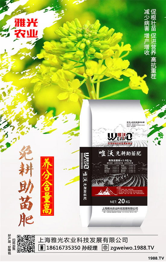 當(dāng)下正是春耕春種的關(guān)鍵時(shí)期,馬鈴薯種植也提上了日程,很多農(nóng)戶都忙了起來(lái)。但是很多農(nóng)戶都對(duì)馬鈴薯高產(chǎn)沒(méi)有信心,因?yàn)橥暧行┺r(nóng)戶種植馬鈴薯只長(zhǎng)秧不結(jié)薯看起來(lái)馬鈴薯枝蔓很旺盛,以為是個(gè)豐收年,可是等到收獲時(shí)幾乎沒(méi)有結(jié)薯,這到底是什么原因呢?該如何解決?