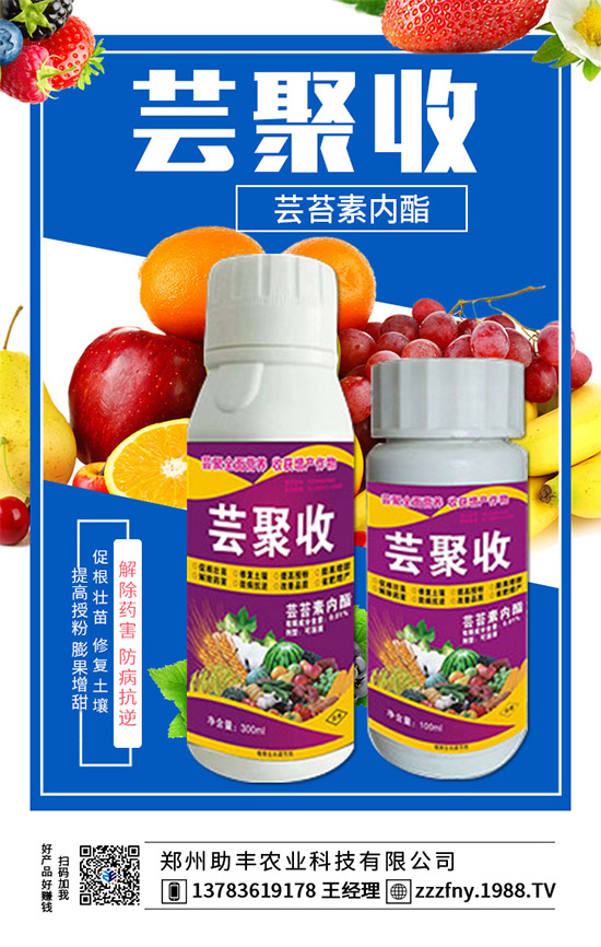 火爆農(nóng)化網(wǎng)再簽鄭州助豐農(nóng)業(yè),促進(jìn)戰(zhàn)略合作再升級!