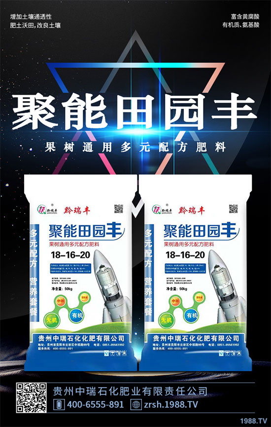 雷丸又稱竹鈴芝、雷實、竹苓、竹兜菌,是一種常用的藥用菌,與茯苓、豬苓并列為“三苓”。具有殺蟲消積的功效,常用于絳蟲、鉤蟲、蛔蟲、蟲積、小兒疳積等病癥。現(xiàn)今市場雷丸供藥多以野生為主,而人工目前少有栽培;雷丸種植對環(huán)境要求比較苛刻,喜溫暖氣候地區(qū),以林中潮濕潤地為宜,但田間管理簡易,只需注意溫度和干旱就行。那么,雷丸該怎么種?雷丸的種植方法及田間管理要點有哪些呢?