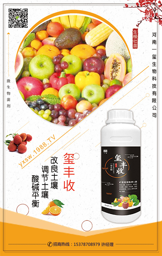 葫蘆的生長習性,葫蘆種植技術(shù)要點!