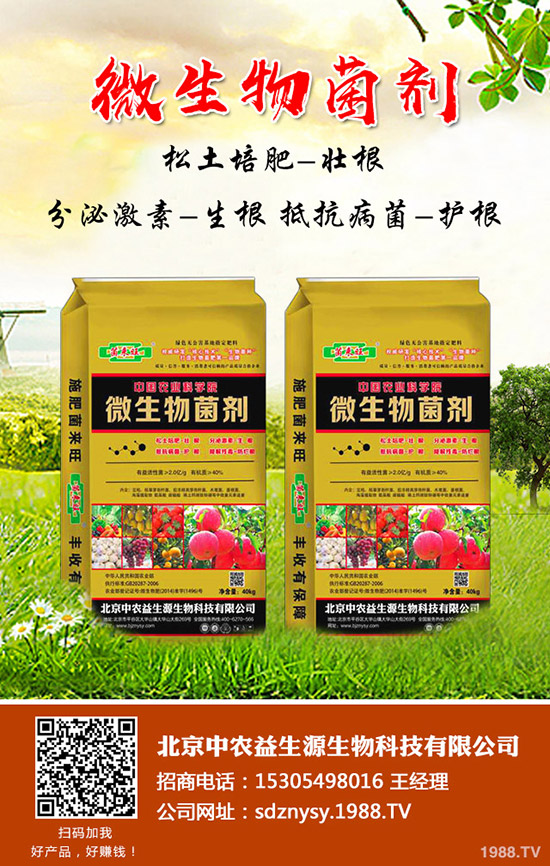 蘋果樹哪個(gè)時(shí)期比較需水!如何澆水?蘋果園的灌水方式!
