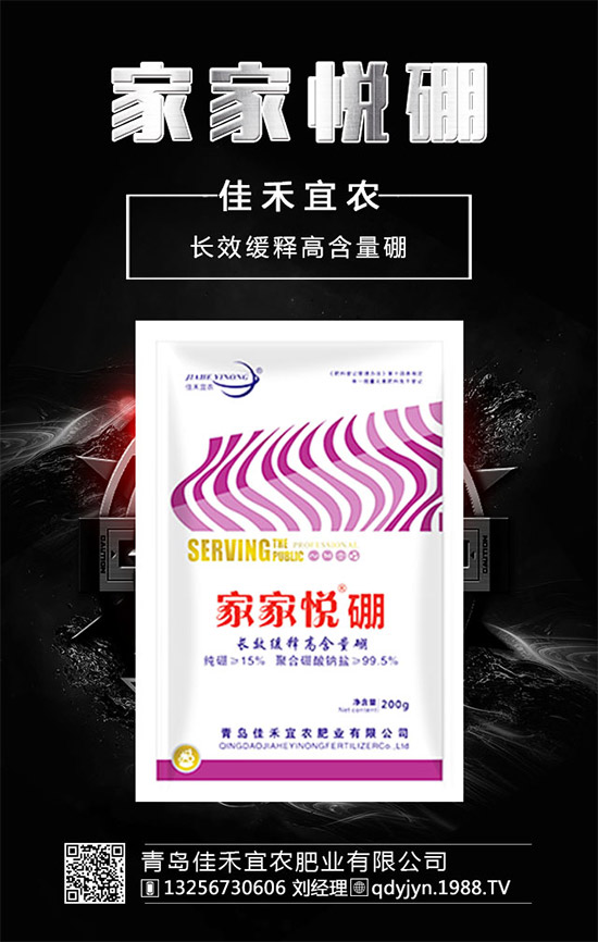 什么時候種植四季豆?四季豆的種植管理