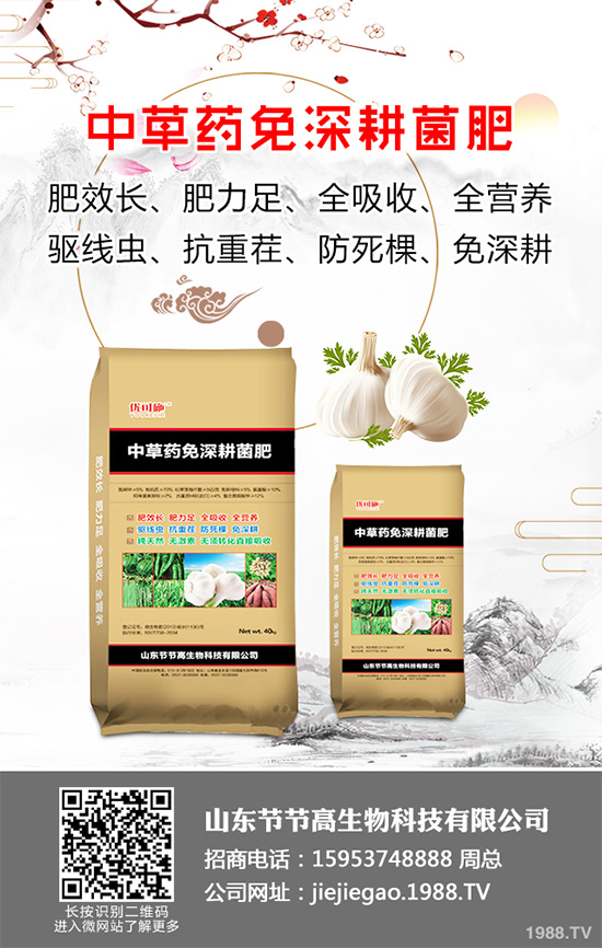 藍莓施肥