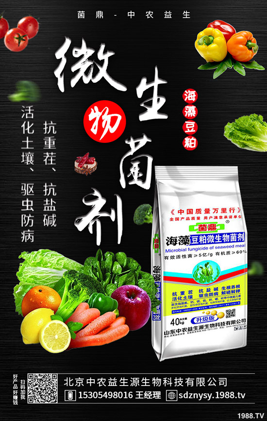 二銨全力發(fā)運(yùn)春耕需求,價(jià)格穩(wěn)定!最新二銨行情走勢(shì)2020-3-28!