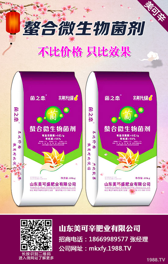復(fù)合肥市場出貨為主!行情暫穩(wěn)!最新復(fù)合肥價格分析2020-3-31!