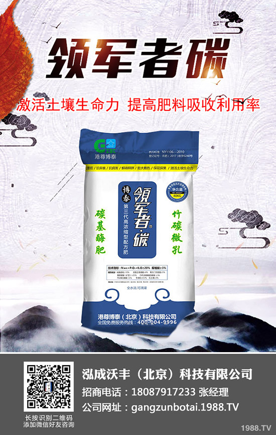西紅柿徒長怎么辦?科學(xué)預(yù)防西紅柿徒長的方法