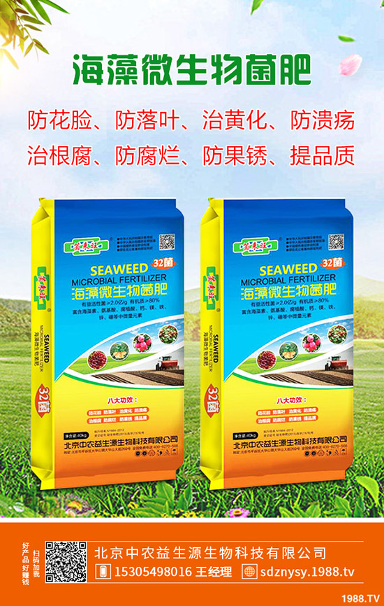 2020年4月4日近期磷銨行情暫穩(wěn)!最新一銨二銨價格早報!