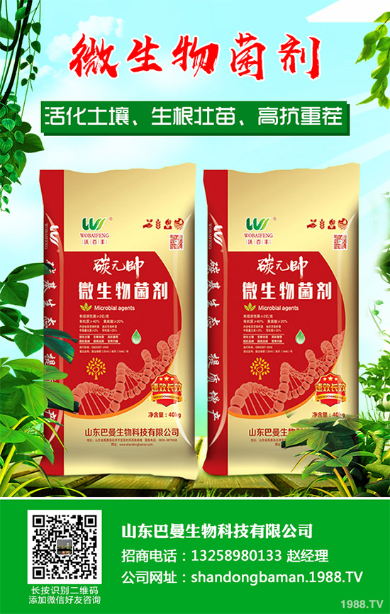 春花生播種后爛種是啥原因?該如何預防?農(nóng)民們必看的增產(chǎn)高產(chǎn)方案!