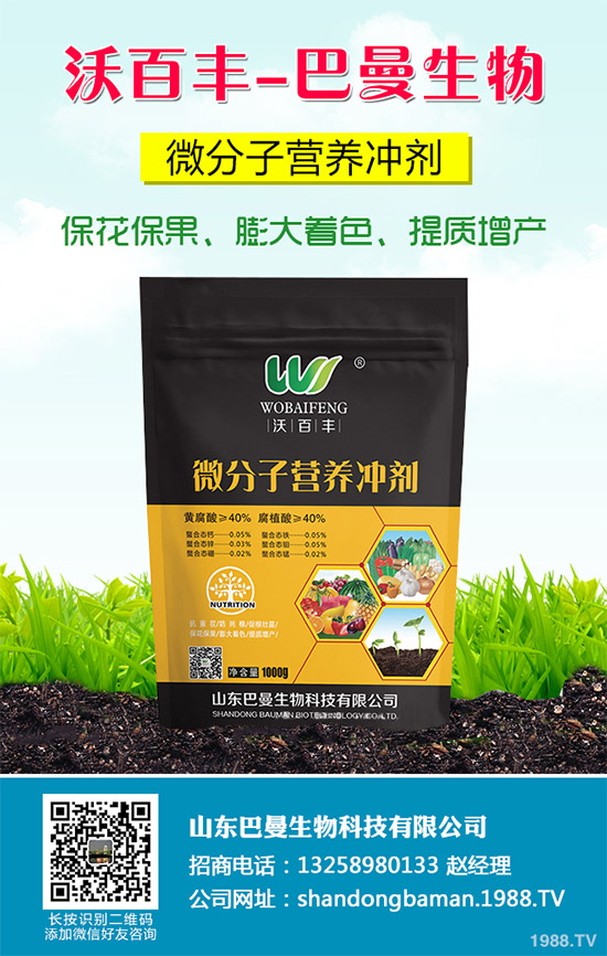 春花生播種的常見(jiàn)誤區(qū),不少農(nóng)戶犯過(guò)錯(cuò)(附解決方案)