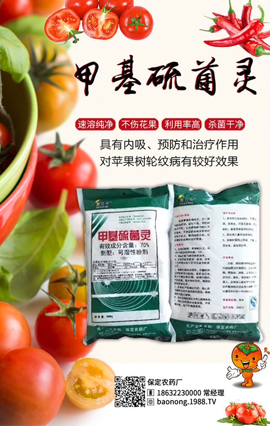 櫻桃西紅柿栽培技術(shù),櫻桃西紅柿病蟲(chóng)害防治!