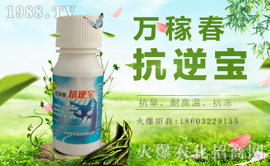 保定市萬稼春強勢入駐火爆農(nóng)化招商網(wǎng)!實現(xiàn)企業(yè)新發(fā)展!
