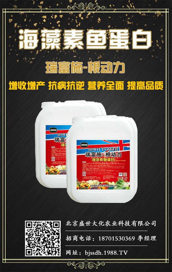 梔子花什么時候可以采收?梔子果實(shí)采收及加工!