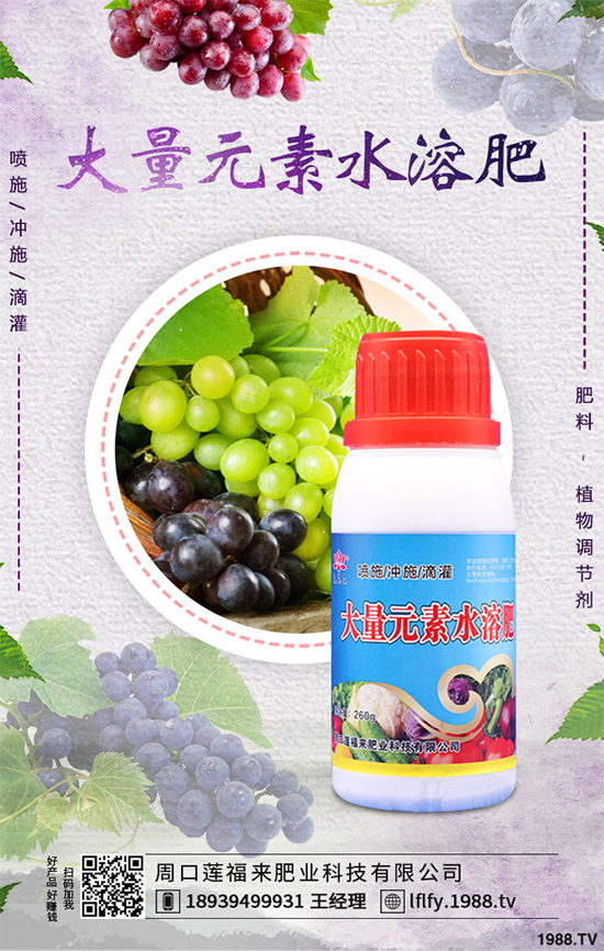 皂莢刺多少錢一斤?種植前景如何?中藥材的效益分析