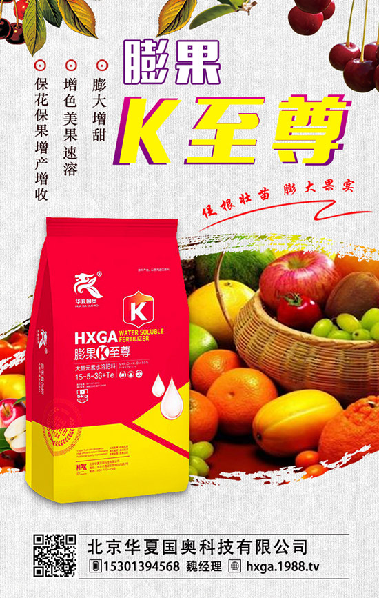 ޱ辰ηNֲޱ辰ķNֲע