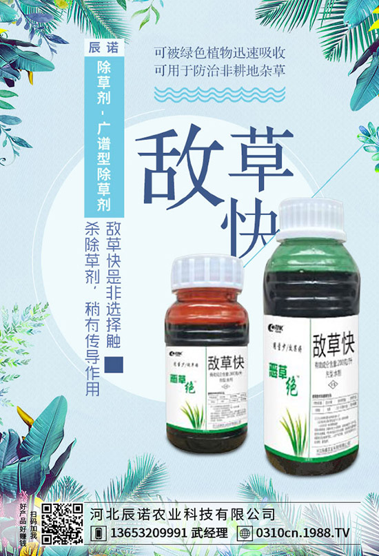 新煙堿類農(nóng)藥爭議不斷,英國甜菜種植者獲得使用噻蟲的緊急批準(zhǔn)