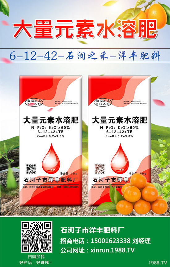 黃瓜嫁接好在哪里?有何優(yōu)勢?黃瓜嫁接的流程及注意事項