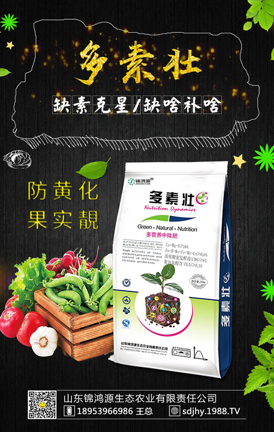緽ЩҪc(din)ڹ