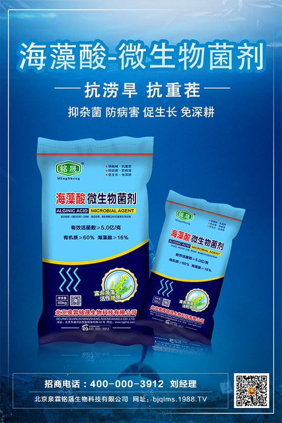 杏樹(shù)種植技術(shù)要點(diǎn),杏樹(shù)的栽種注意事項(xiàng)!