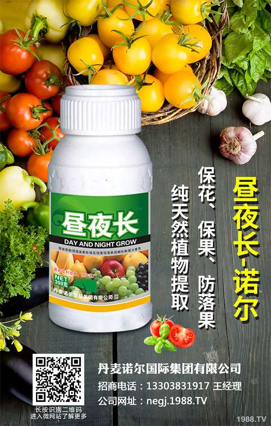 夏芹菜什么時候種植?該如何種植?夏芹菜高產(chǎn)種植技術(shù)