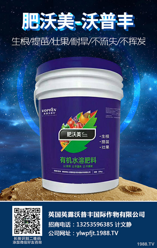2020年沃柑價(jià)格多少錢一斤?沃柑種植前景如何?