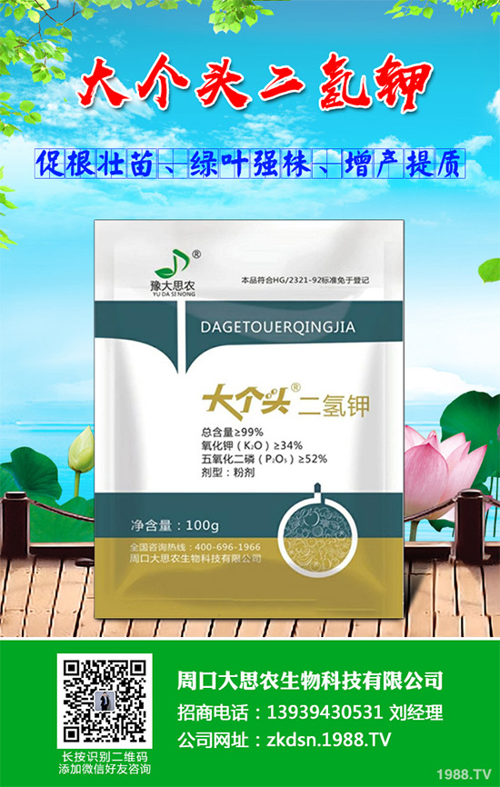 決明子該如何種植?如何才能高產(chǎn)?決明子高產(chǎn)栽培技巧