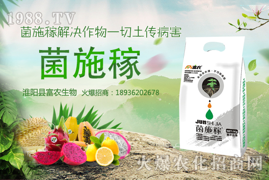 2020年農村種野菜賺錢嗎?選擇哪些野菜品種效益高?建議收藏!