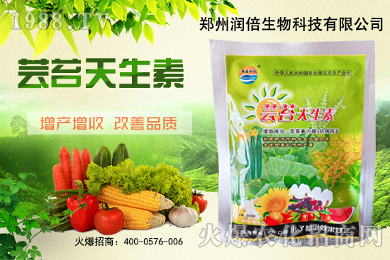 黃連苗期怎么管理?黃連苗期病蟲(chóng)害防治!