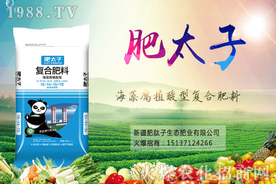 復(fù)合肥