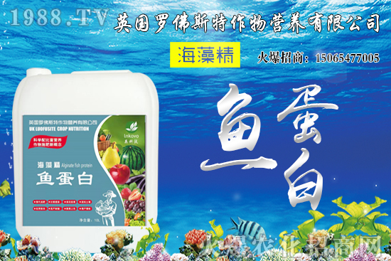 尿素價(jià)格