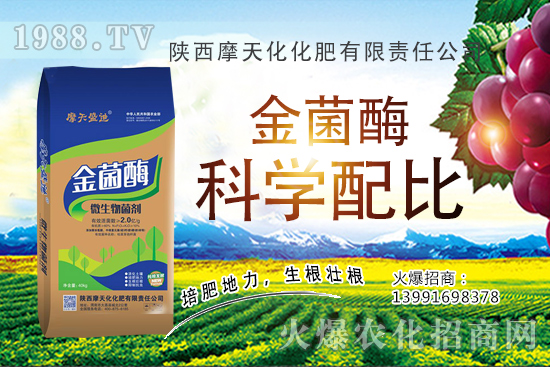 種一畝蘋果的成本是多少,有多少利潤(rùn)?蘋果種植技術(shù)與管理!