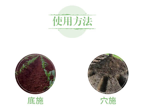 生物有機肥-苗壯實業(yè)_05