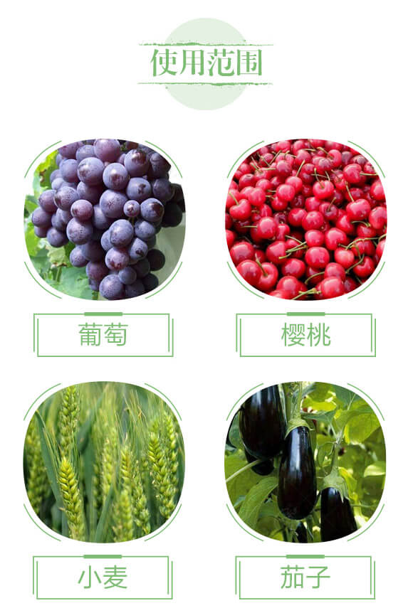 生物有機肥-苗壯實業(yè)_04