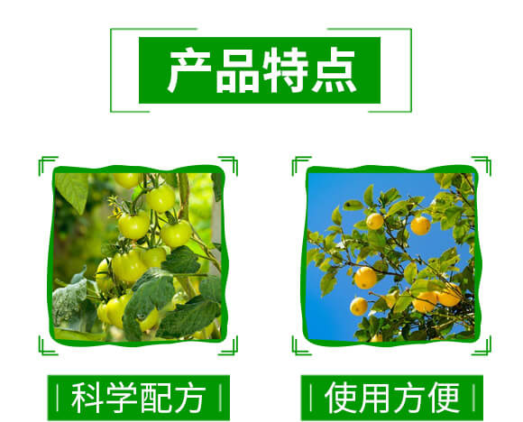 60%苯甲·醚菌酯-靚秀-神龍農業(yè)_04