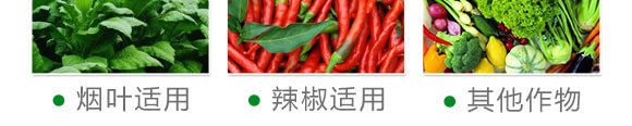 緩釋藥片-沃源生物_08