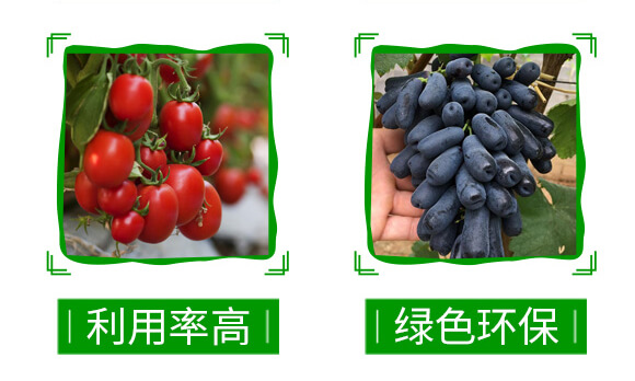60%苯甲·醚菌酯-靚秀-神龍農業(yè)_05