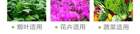 ӹ̿ø--(gu)S@_09
