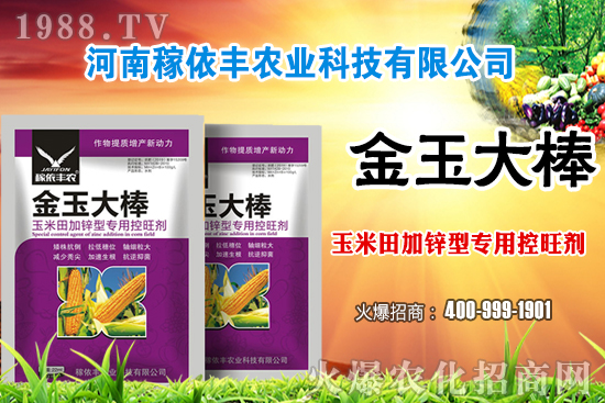 玉米施肥尿素和復(fù)合肥哪個好?玉米施肥注意事項有哪些?