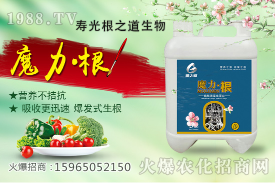 桃樹(shù)施肥有什么講究?桃樹(shù)施肥時(shí)間,如何做到科學(xué)施肥?