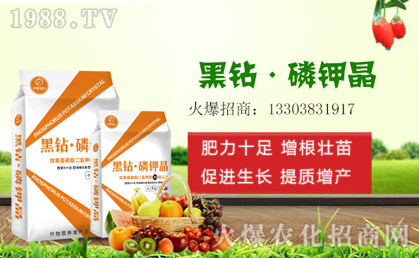 尿素價格