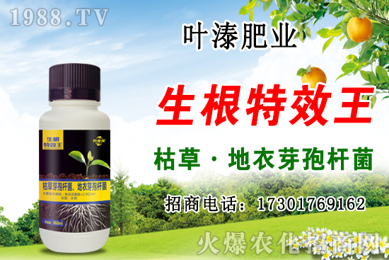 尿素價格